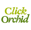 ClickOrchid logo