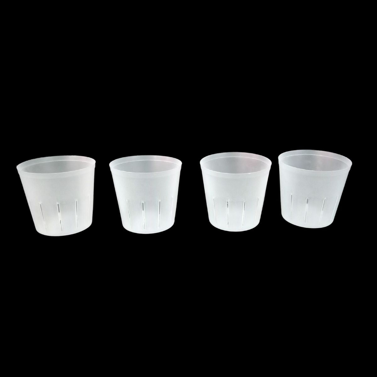 3" Clear Pot - Transparent container for showcasing and nurturing your beautiful orchids