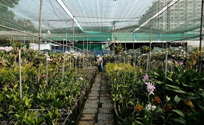 Building Prosperity Through Orchid Partnerships