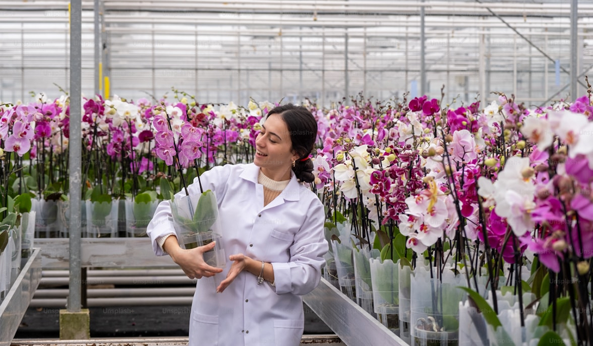 The Science Behind Premium Orchid Cultivation