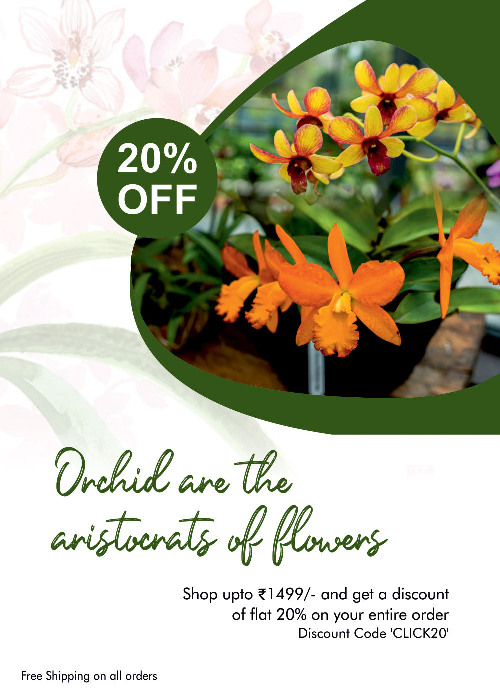 Mobile promotional banner showcasing colorful orchid flowers with a flat 20% discount using code CLICK20 and free shipping on all orchid plant orders from Click Orchid