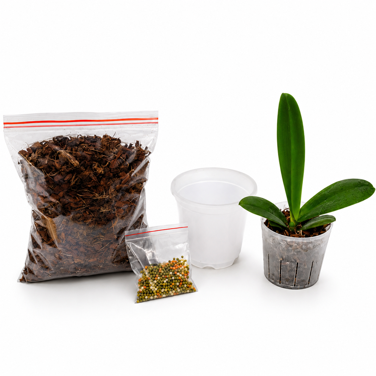 Beginner-friendly Phalaenopsis Orchid Starter Kit with a healthy Phalaenopsis orchid plant, clear pot, orchid bark potting mix, and slow-release fertilizer for easy orchid care.