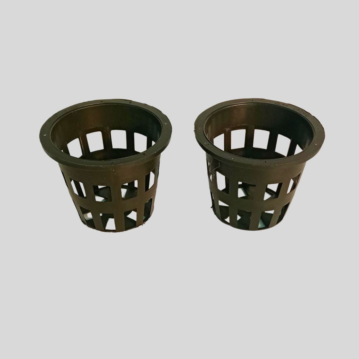 3.5" Orchid Net Pot: Durable Container with Enhanced Airflow and Drainage for Orchid Growth"