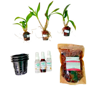 Seedling Pack with 3 Net Pots, Orchid Potting Mix, and Orchid Care Supplies - Complete Orchid Care Package for Healthy Growth and Blooming